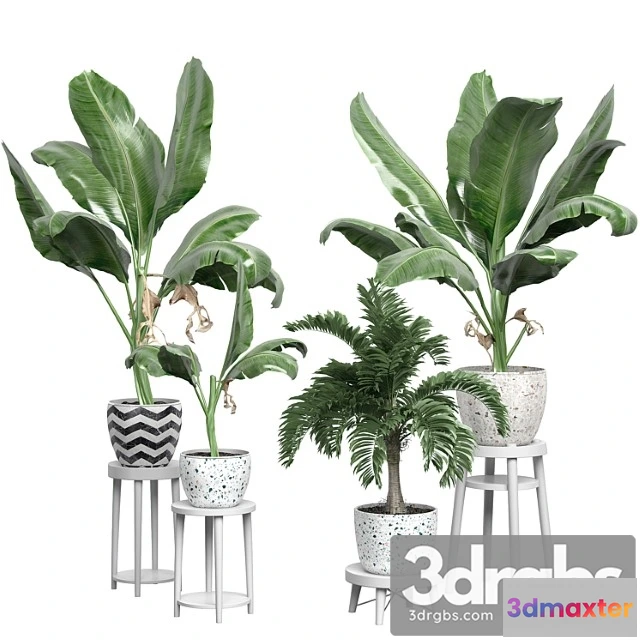 1061726 - Flower pack 124