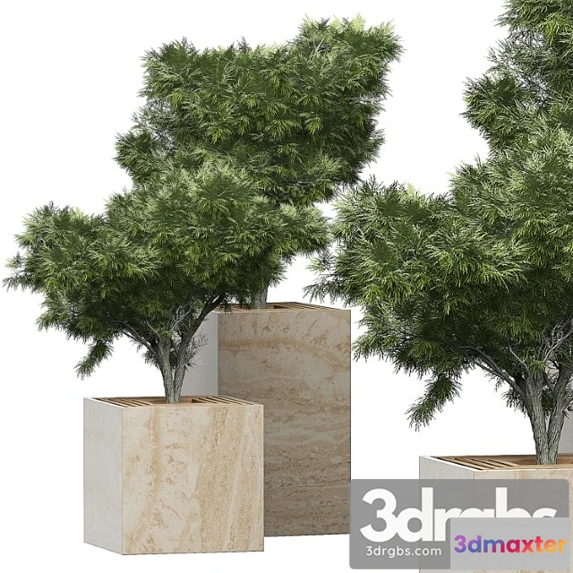 1061730 - Flower pack 153 - No.2