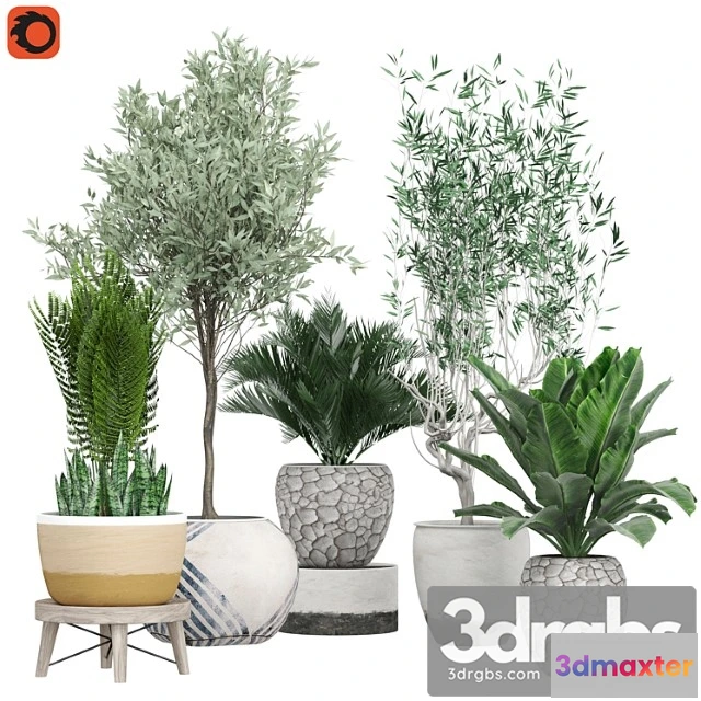 1061734 - Flower pack 171c