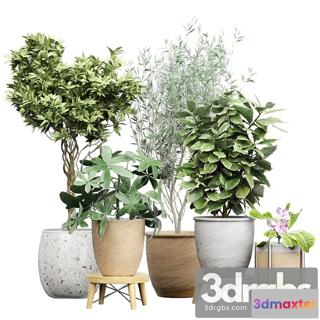 1061736 - Flower pack 174