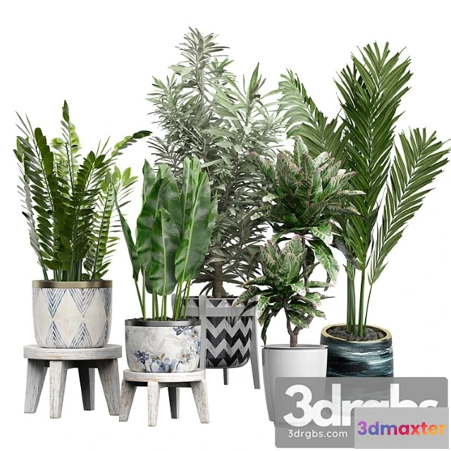 1061738 - Flower pack 175