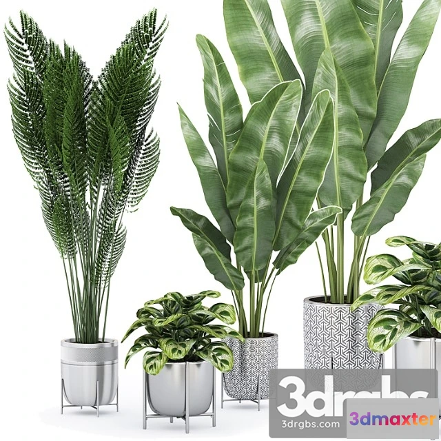 1061740 - Flower pack 225с