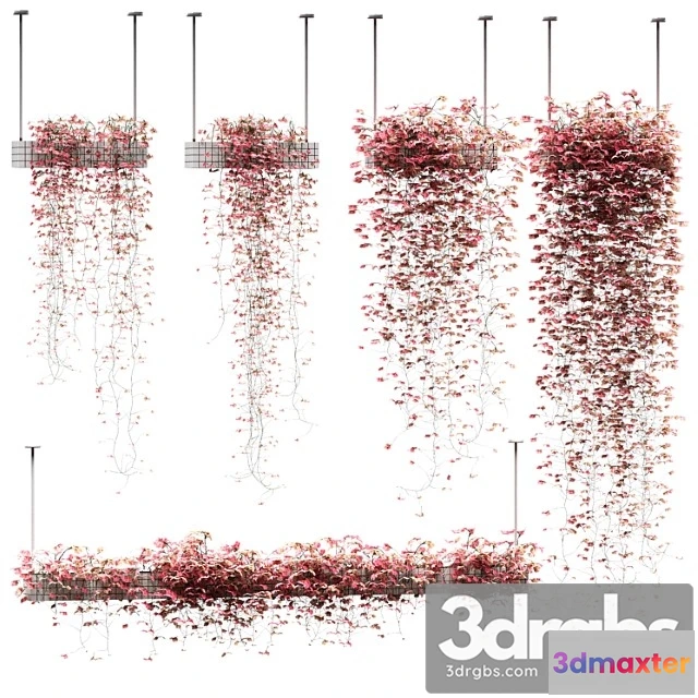 1061748 - Flowers on the shelves. 5 models