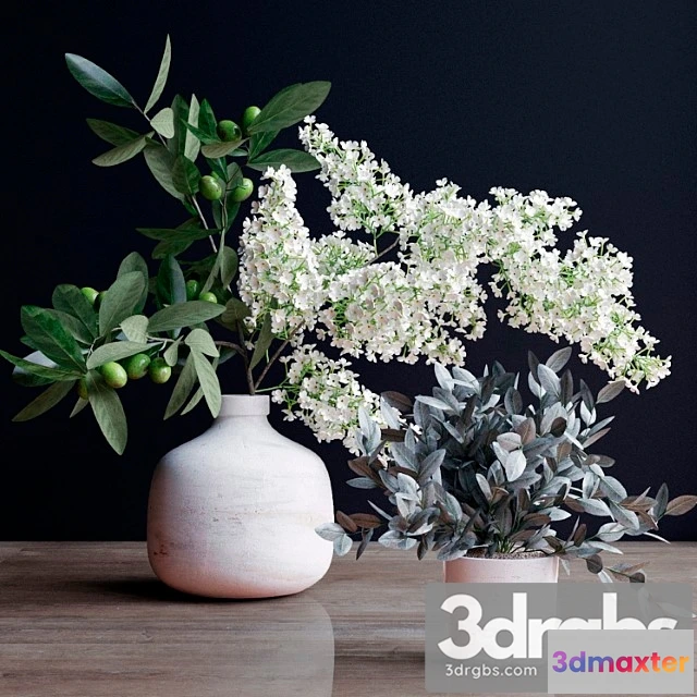 1061750 - Flowers, branch