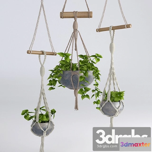 1061764 - Hanging flowerpots