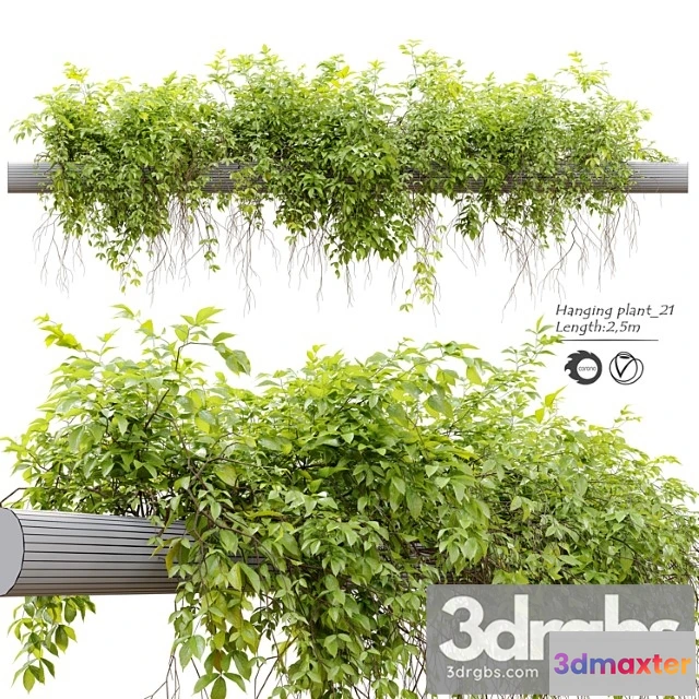 1061766 - Hanging plant 21