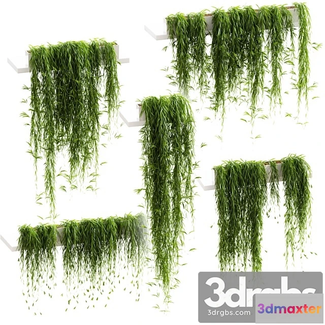 1061774 - Hanging plants for shelves. 5 models. set 3