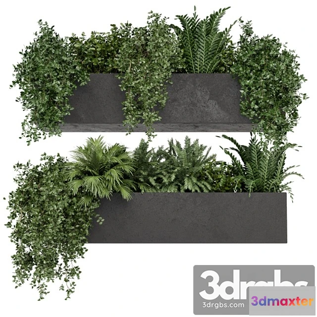 1061776 - Hanging plants in rusty concrete pot - set 589