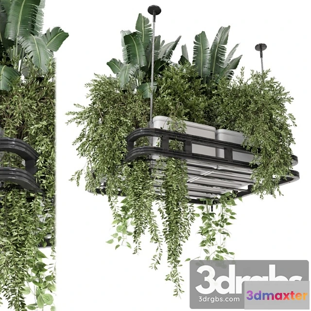 1061782 - Hanging plants set in concrete pot - set 1113