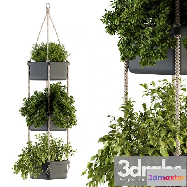 1061786 - Hanging pot with rope - indoor plants 164