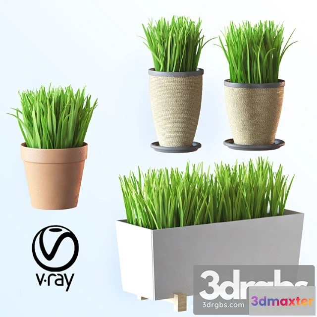 1061800 - Home plant v1