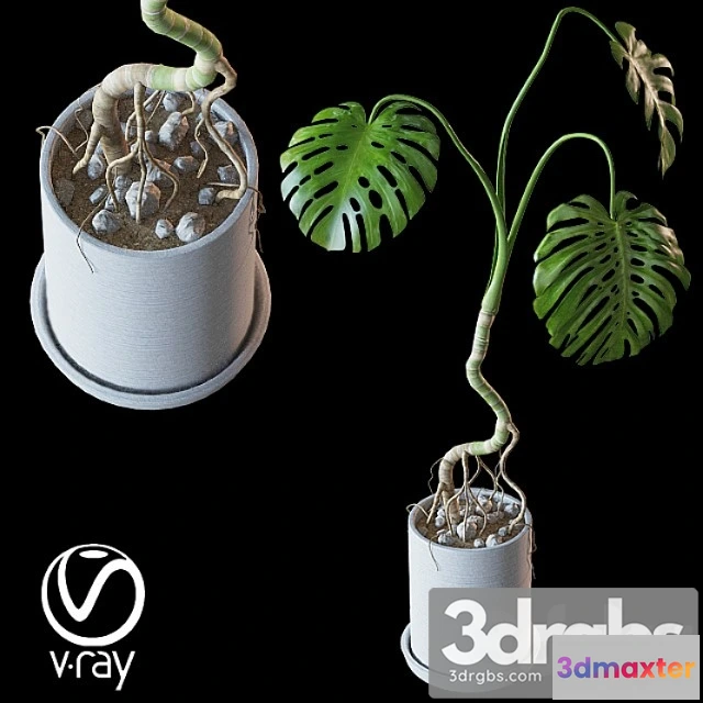 1061802 - Home plant v2 (realistic)