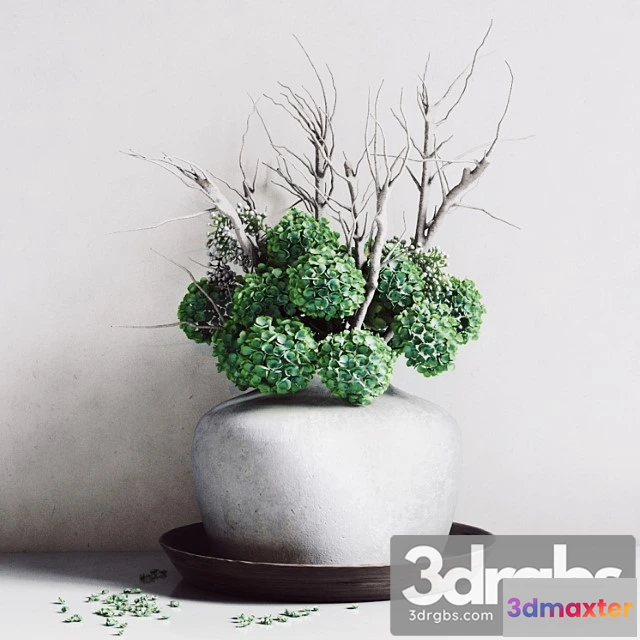 1061818 - Hydrangea vase