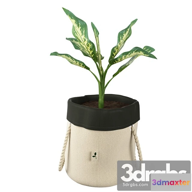 1061820 - Ikea botanisk dieffenbachia