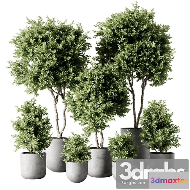 1061866 - Indoor plant 2