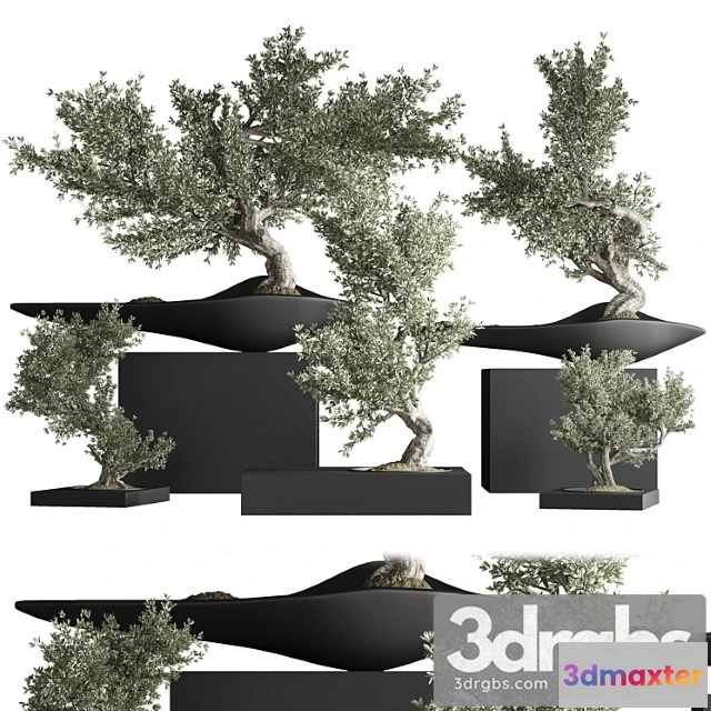 1061892 - Indoor plant bonsai set 35