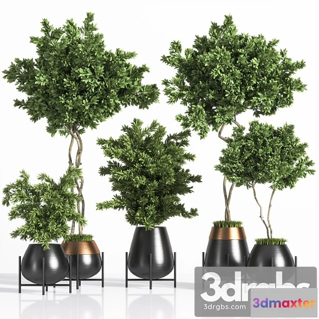 1061904 - Indoor plant set 01 3