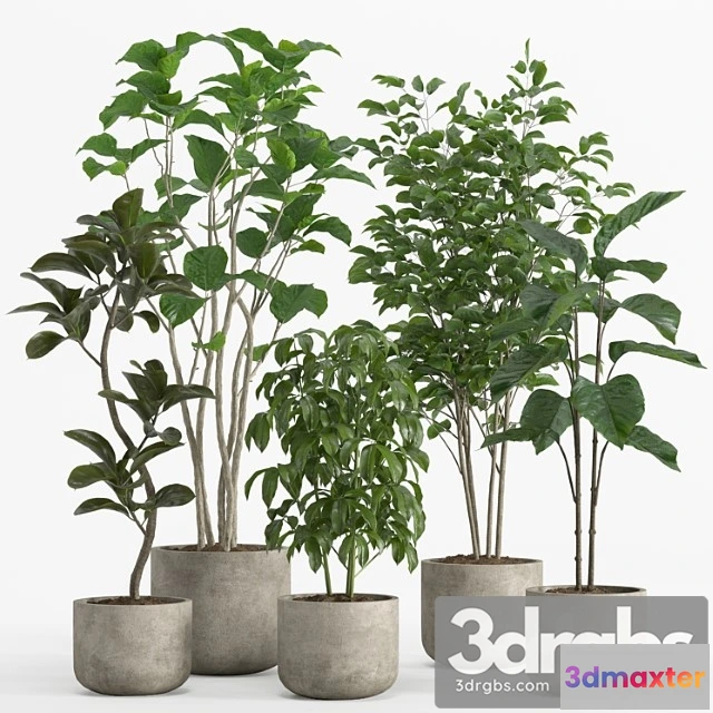 1061910 - Indoor plant set 017