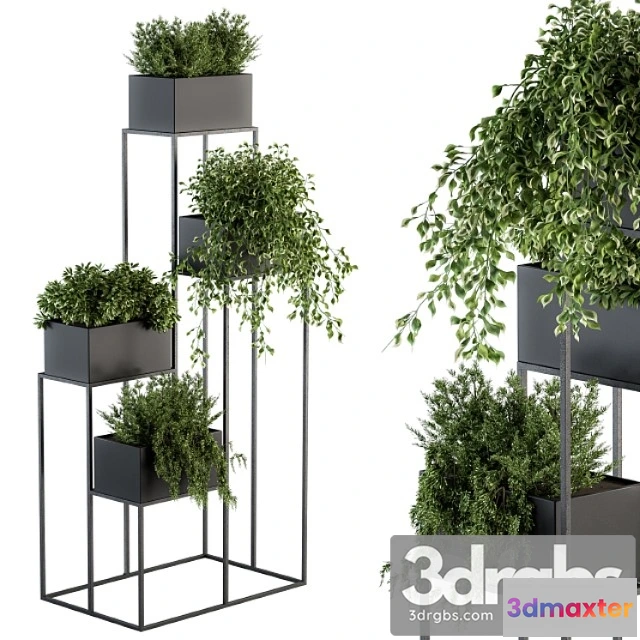 1061924 - Indoor plant set 100 - black stand