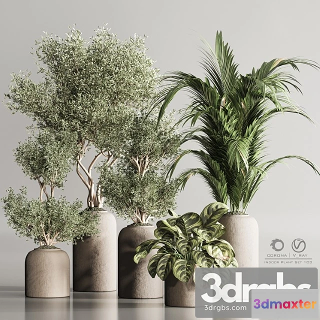 1061926 - Indoor plant set 103