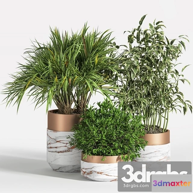 1061968 - Indoor plant set 16