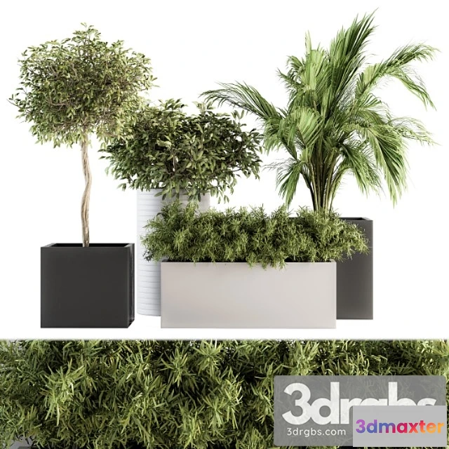 1061974 - Indoor plant set 188 - plant boxes