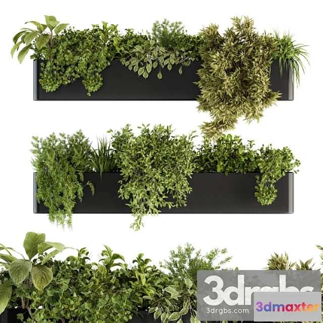 1061984 - Indoor plant set 210 - hanging plants