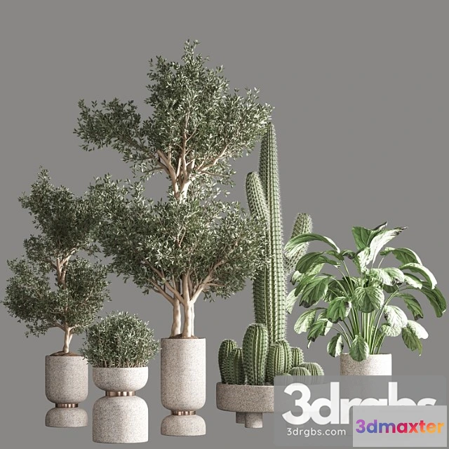 1062018 - Indoor plant set 26_1