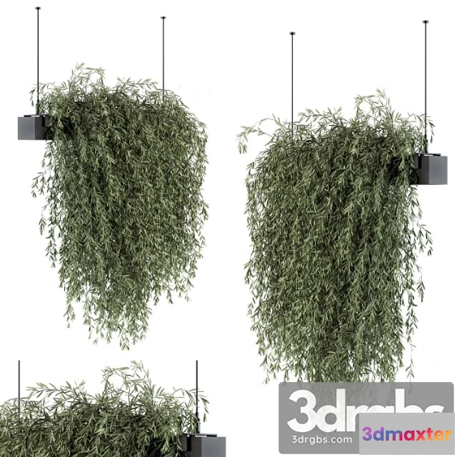 1062024 - Indoor plant set 288 - hanging plants