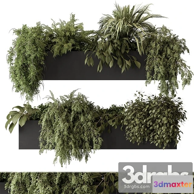 1062026 - Indoor plant set 297 - hanging plants