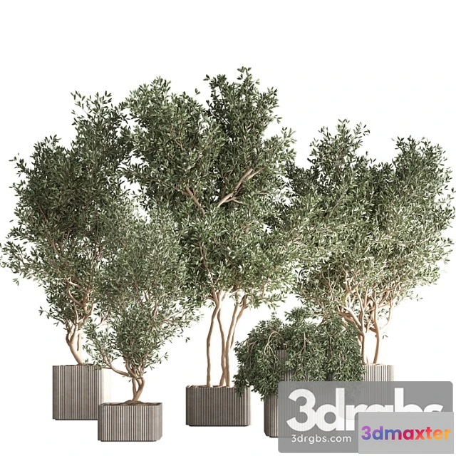 1062030 - Indoor plant set 30