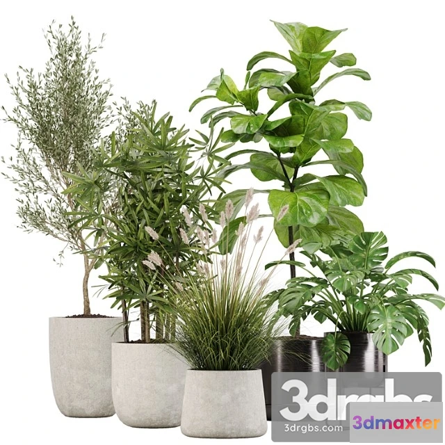 1062046 - Indoor plant set 32