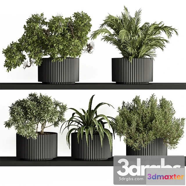 1062068 - Indoor plant set 402 - small plant pot