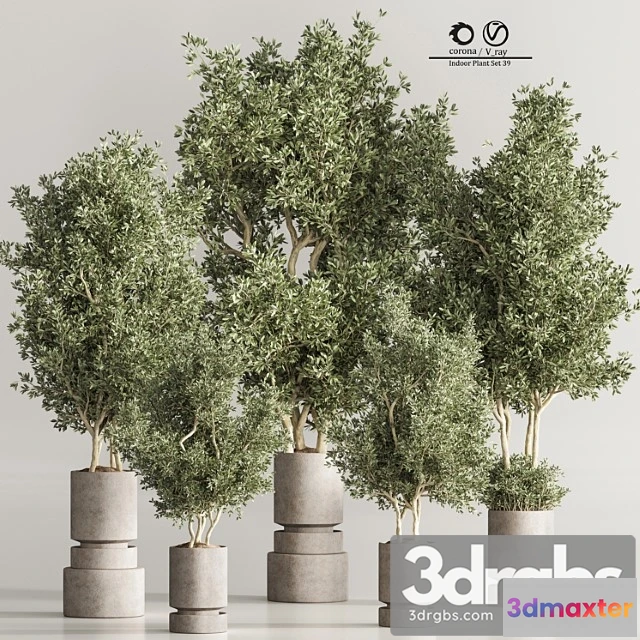 1062076 - Indoor plant set 44