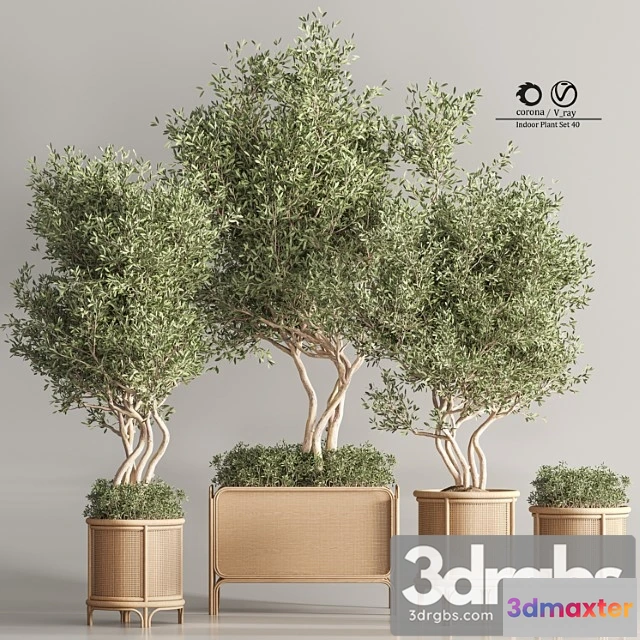 1062080 - Indoor plant set 45