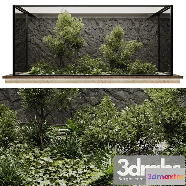 1062082 - Indoor plant set 50