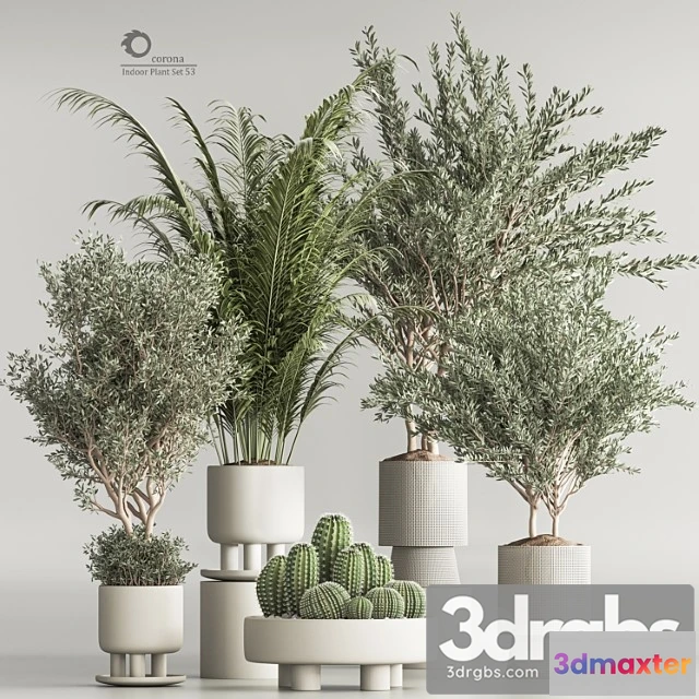 1062084 - Indoor plant set 54(corona)