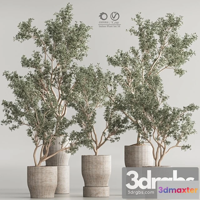 1062086 - Indoor plant set 58