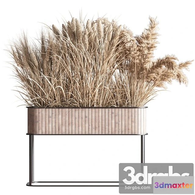 1062098 - Indoor Plant Set 76(dry Flowers )