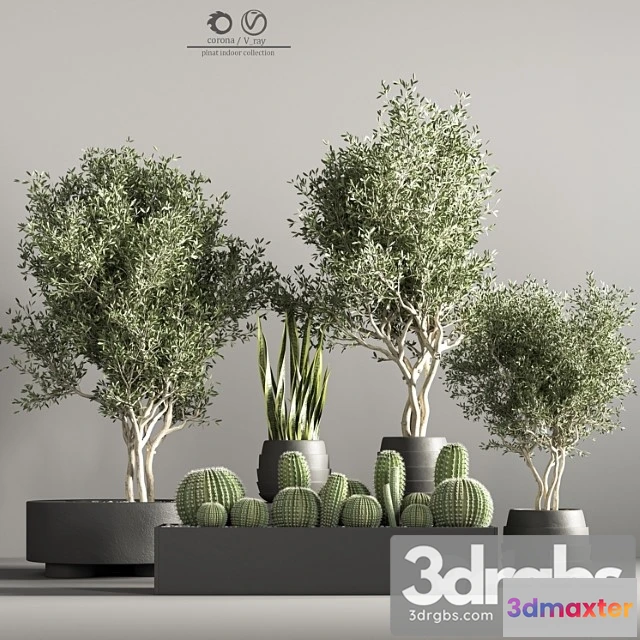 1062124 - Indoor plant stand 36