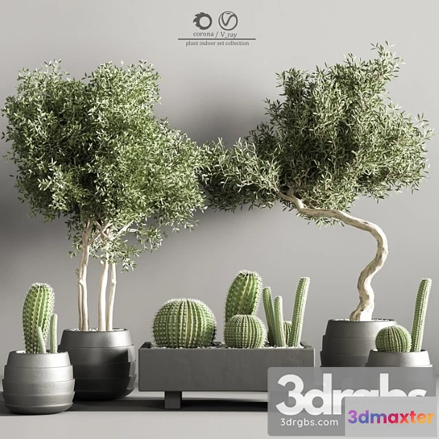 1062126 - Indoor plant stand 37