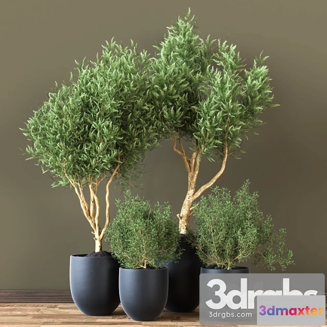 1062132 - Indoor Plant Vol 19