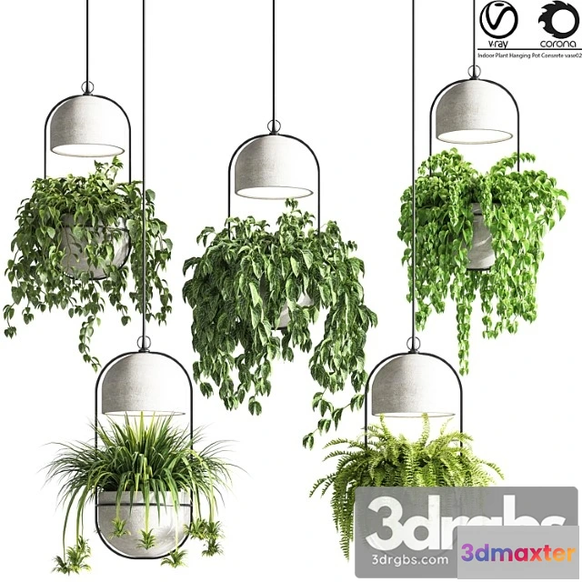 1062152 - Indoor Plants Hanging Pot Concrete Vase 02