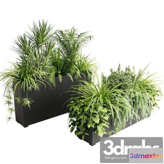 1062212 - Indoor plants in outdoor boxes