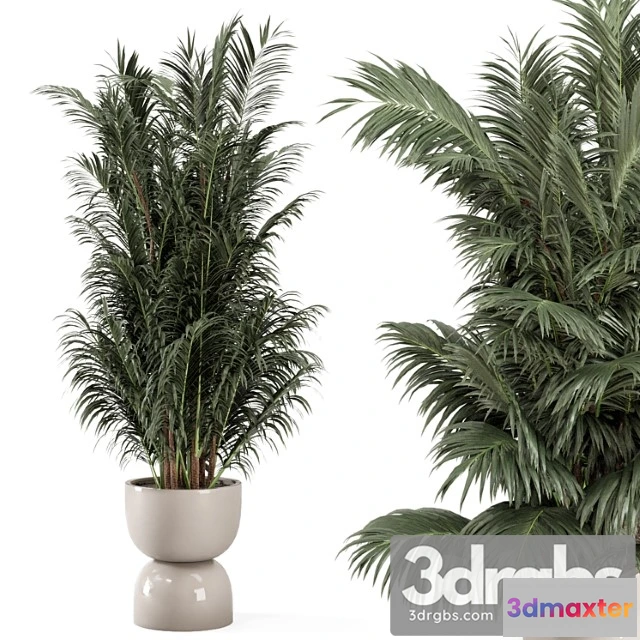 1062234 - Indoor plants in rusty concrete pot - set 352