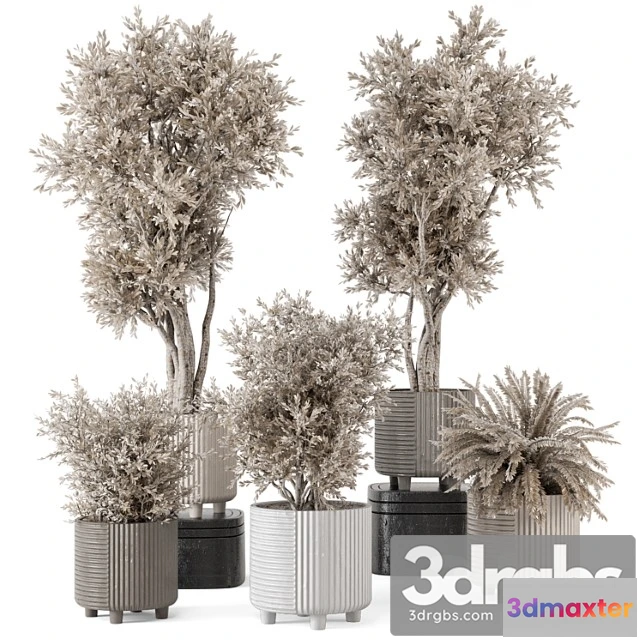1062240 - Indoor plants in rusty concrete pot - set 905