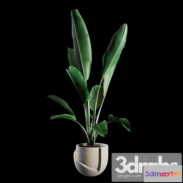 1062266 - Indoor plants set 02