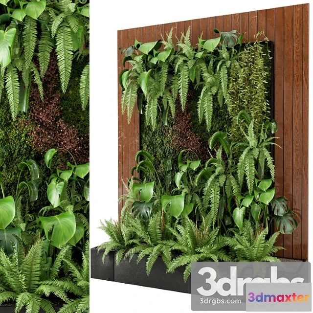 1062276 - Indoor wall plants in rusty concrete pot - set 22
