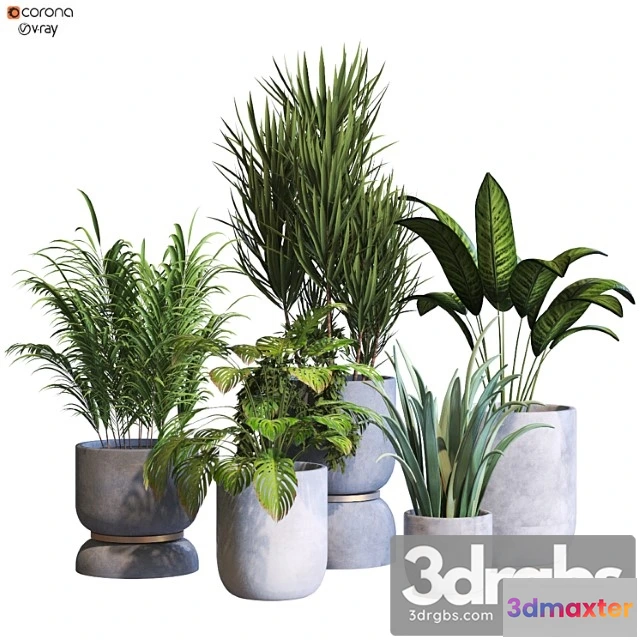 1062278 - Inferior plant collaction set 294
