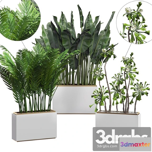 1062282 - Interior flower pack 13 - zonning